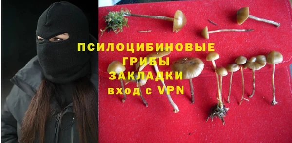 мяу мяу кристалл Богородицк