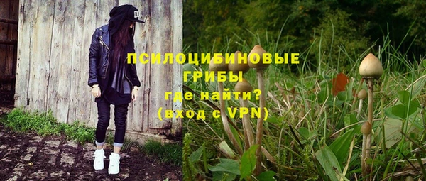 каннабис Богданович